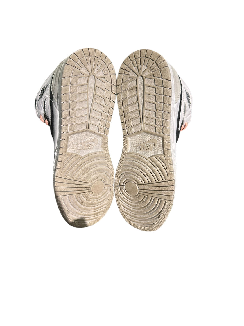 Jordan 1 Retro High OG Bleached Coral (GS)