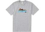 Supreme Catwoman Tee Heather Grey