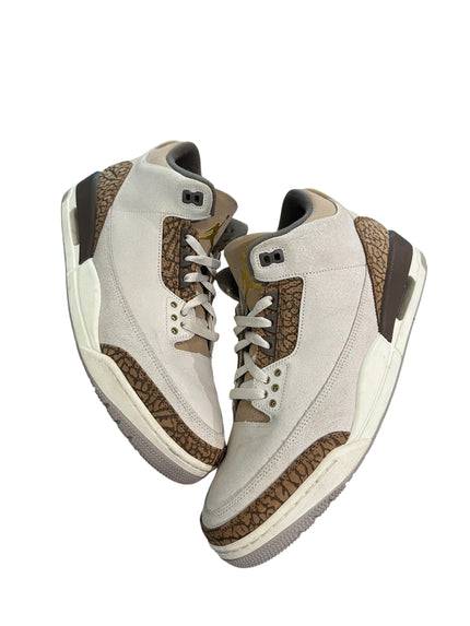 Jordan 3 Retro Palomino