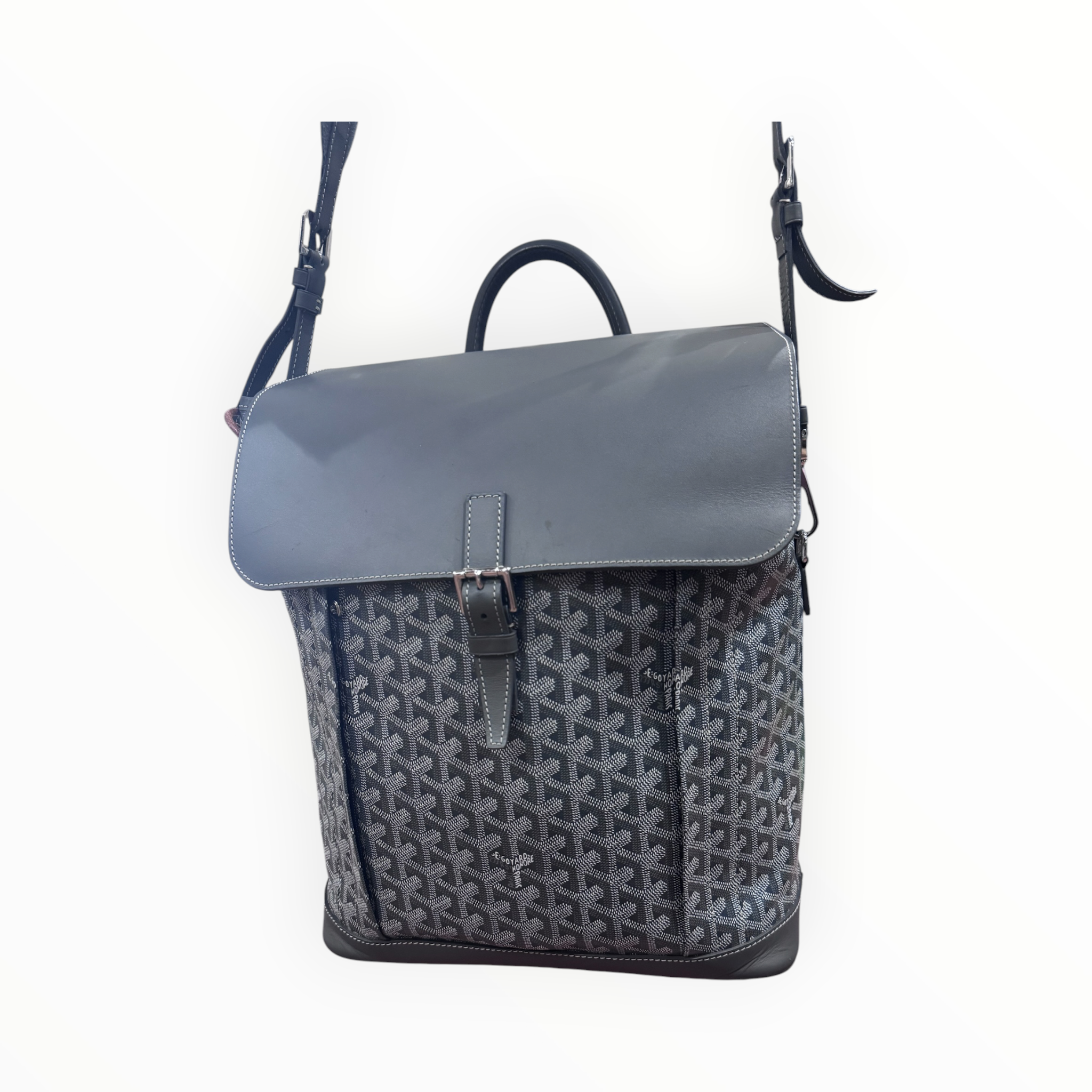 Goyard Grey Aplin Backpack