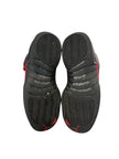 Jordan 12 Retro Bloodline