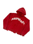 GV Gallery Raspberry Spliced Hoodie