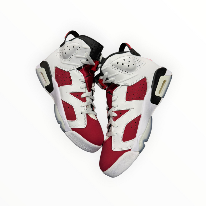 Jordan 6 Retro Carmine (2021)
