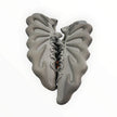 adidas Yeezy 450 Stone Grey