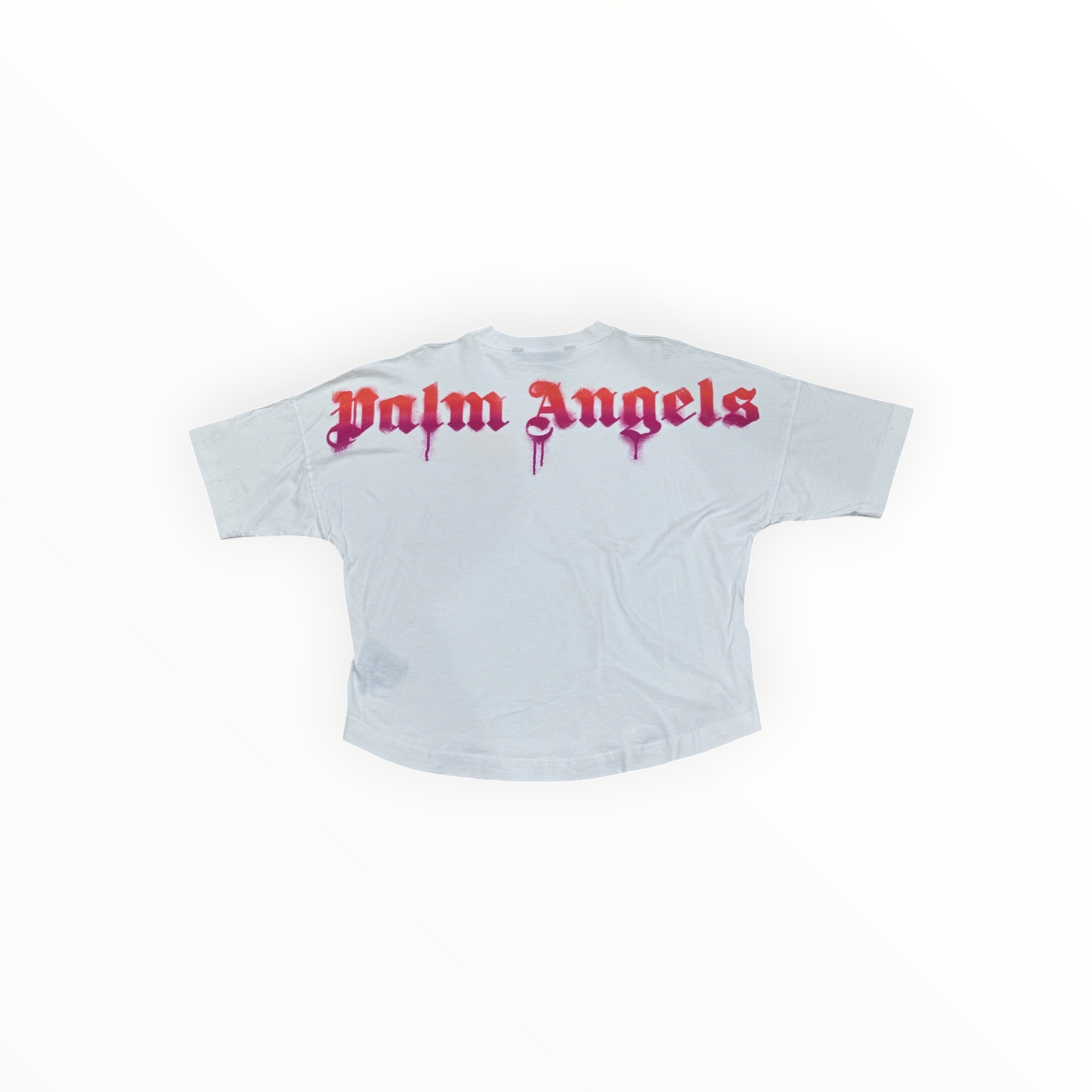 Palm Angels Sprayed Palm Logo Over Tee