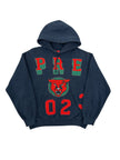 Supreme Washed Panther Hooded Sweatshirt
