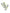 Jordan 5 Retro Green Bean (2022)