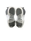 Jordan 12 Retro Stealth