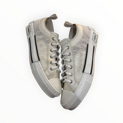 Dior B23 Oblique White/White