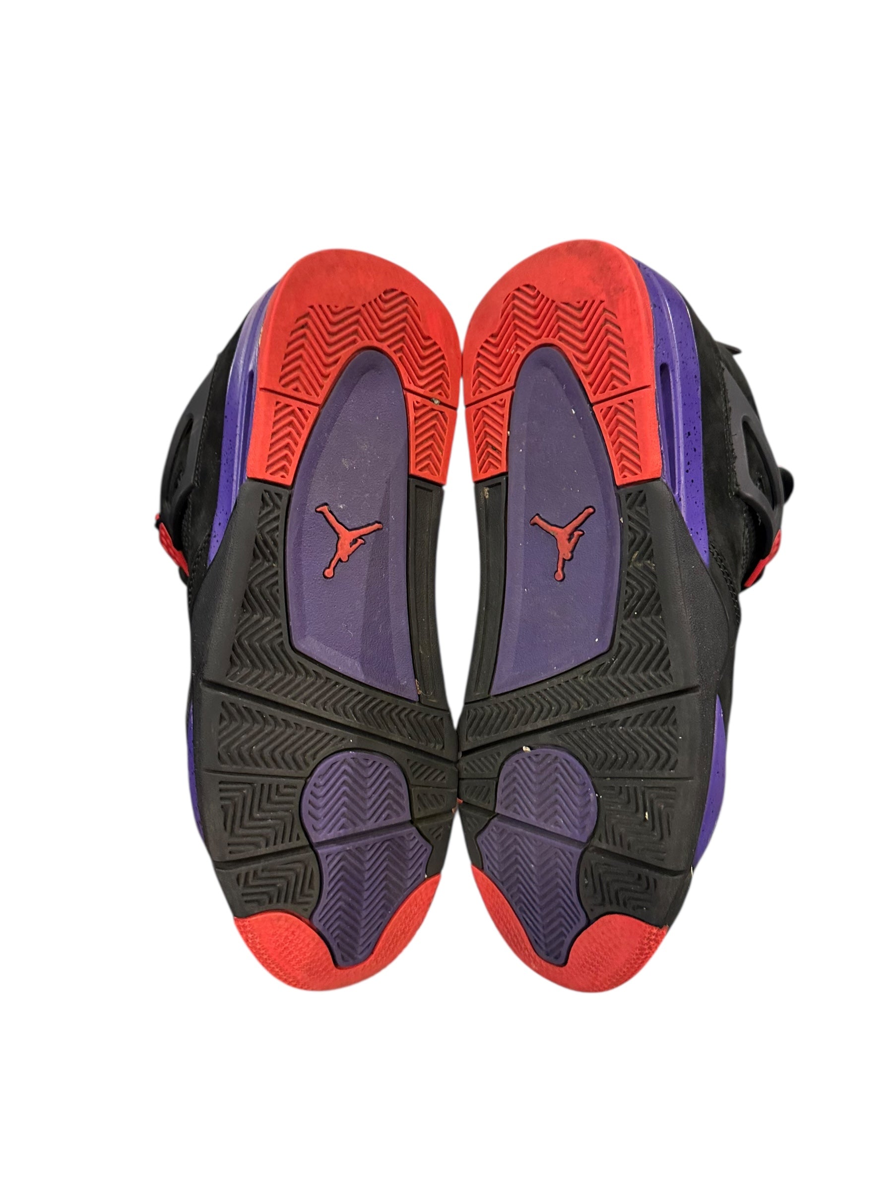 Jordan 4 Retro Raptor (2018)