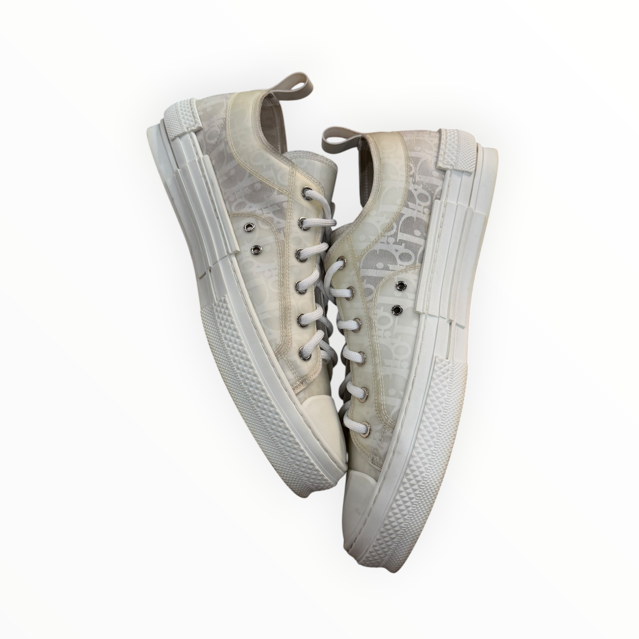 Dior B23 Oblique White/White