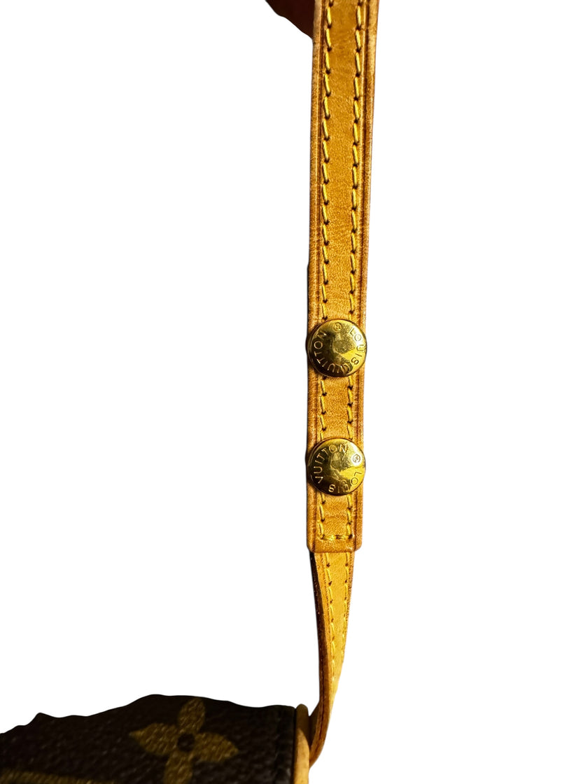 Louis Vuitton Coated Canvas Twin PM