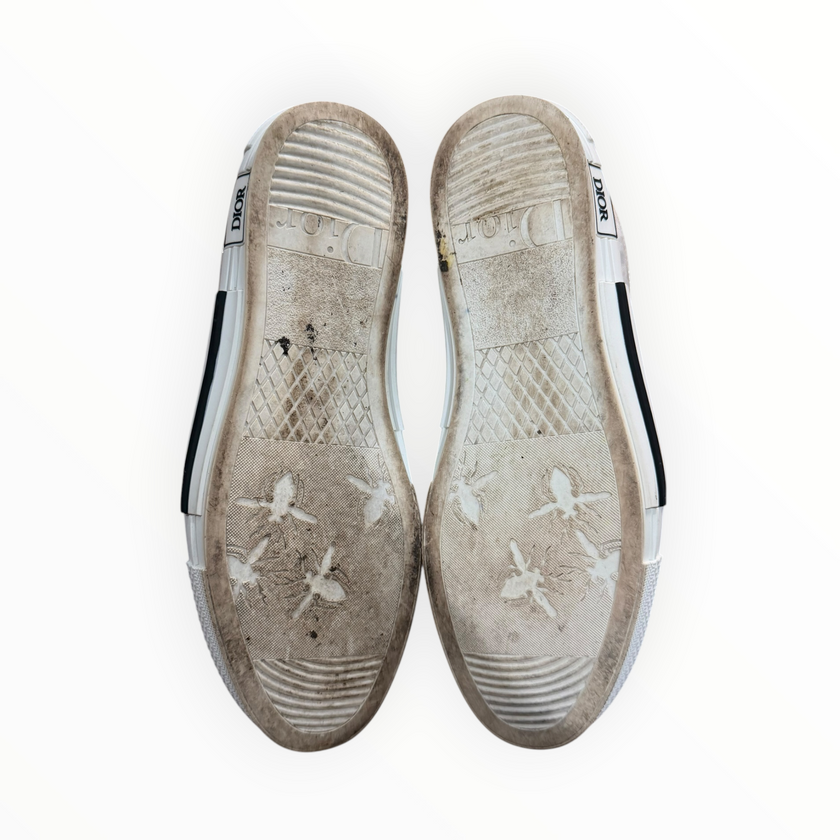 Dior B23 Oblique White/White
