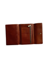 Louis Vuitton Monogram Canvas Passport Trifold Organizer