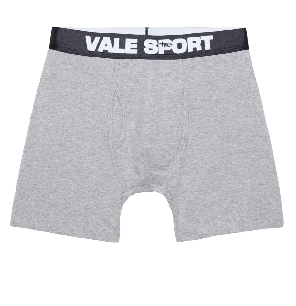 Vale Sport Briefs 3 Pack Grey