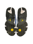 Jordan 14 Retro Laney (2023)
