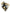 Jordan 1 Retro High NRG Patent Gold Toe