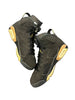 Jordan 6 Retro DMP (2020)