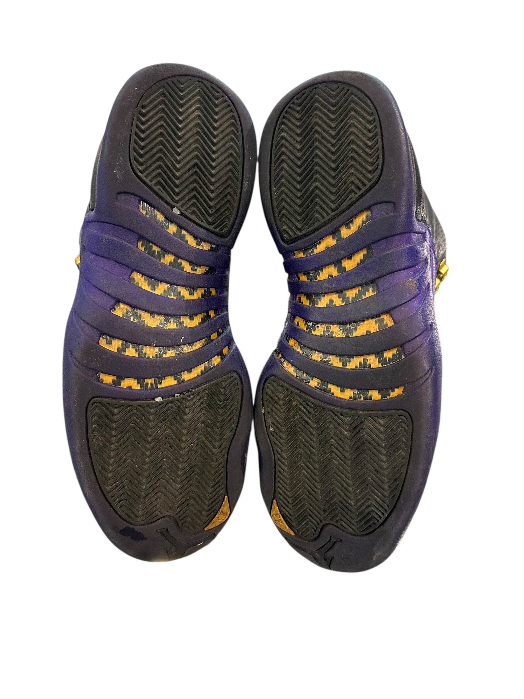 Jordan 12 Retro Field Purple