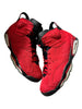 Jordan 6 Retro Toro Bravo