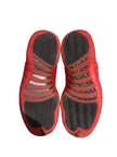 Jordan 12 Retro Flu Game (2025)
