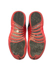 Jordan 12 Retro Flu Game (2025)