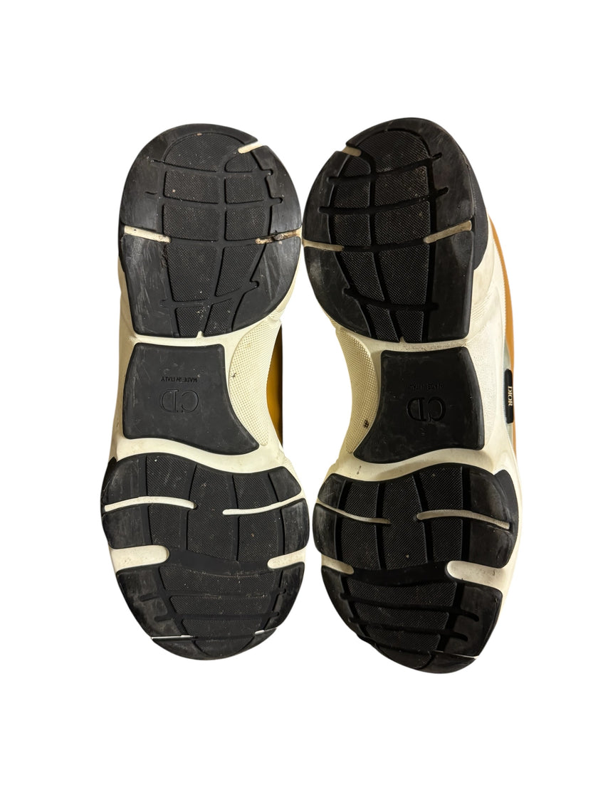 Dior B22 Brown/White