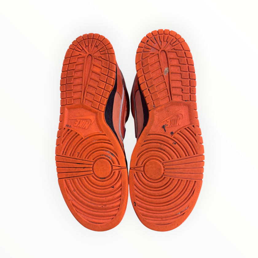 Nike SB Dunk Low Concepts Orange Lobster
