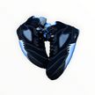 Jordan 5 Retro Black University Blue (2026)