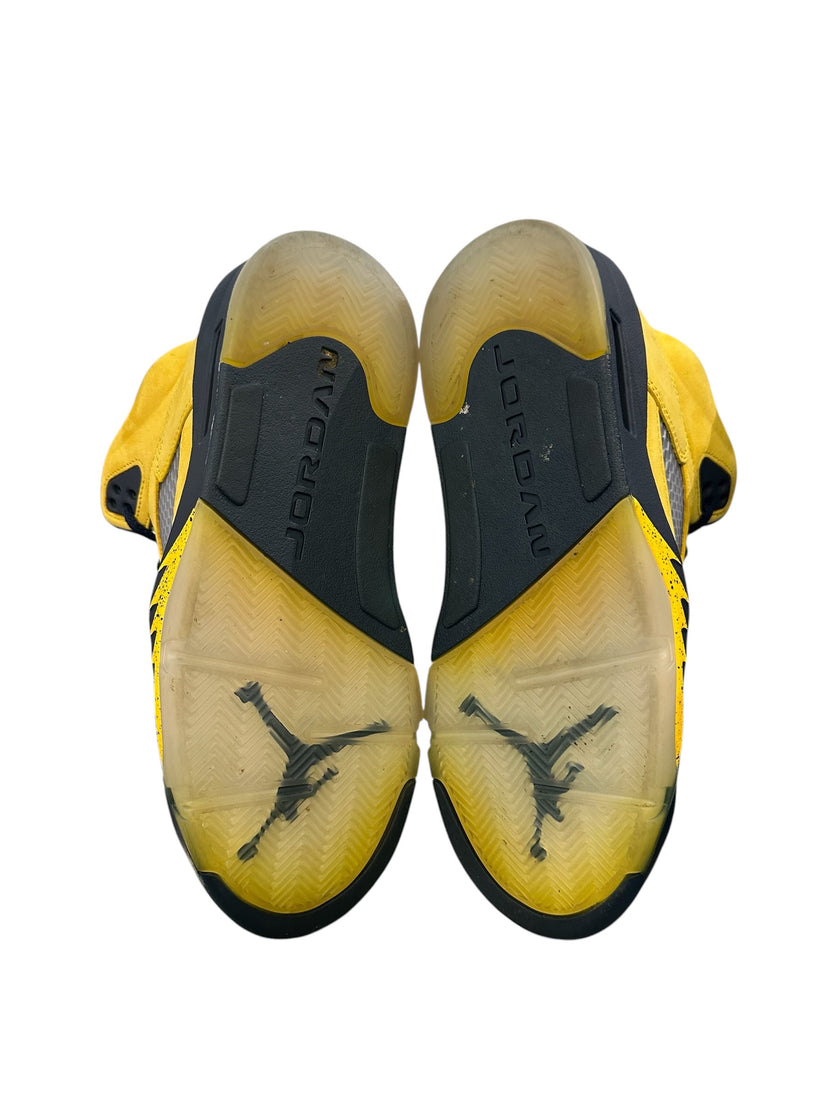 Jordan 5 Retro Michigan (2019)